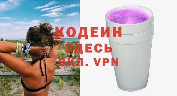 гашик Горняк