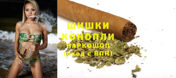 крисы Горно-Алтайск