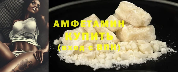 гашик Горняк