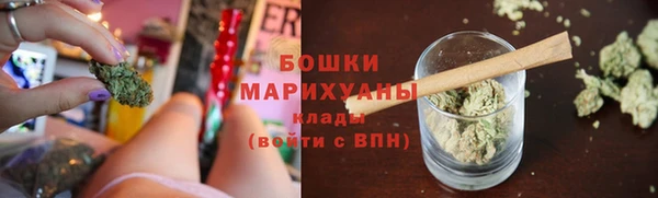 Альфа ПВП Горнозаводск