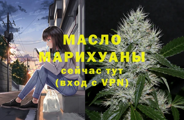 гашик Горняк