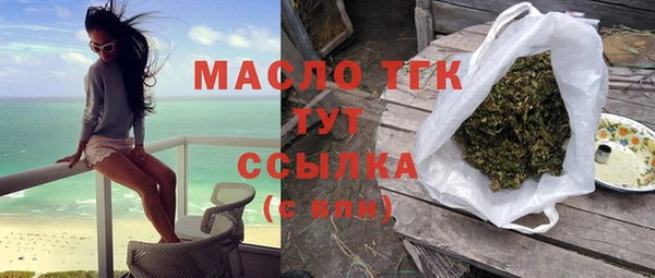 гашик Горняк