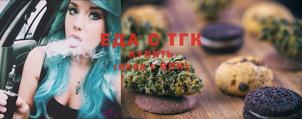 гашик Горняк