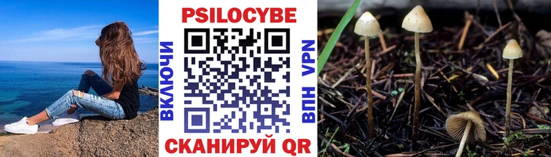 Галлюциногенные грибы ЛСД  Павловский Посад 